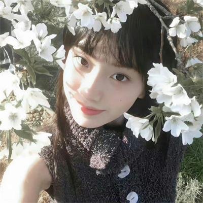 百合花开 在线观看